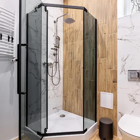 Stylowe W Centrum Lodzi - Kosciuszki 60 לודז'